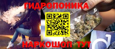 гашик Канаш
