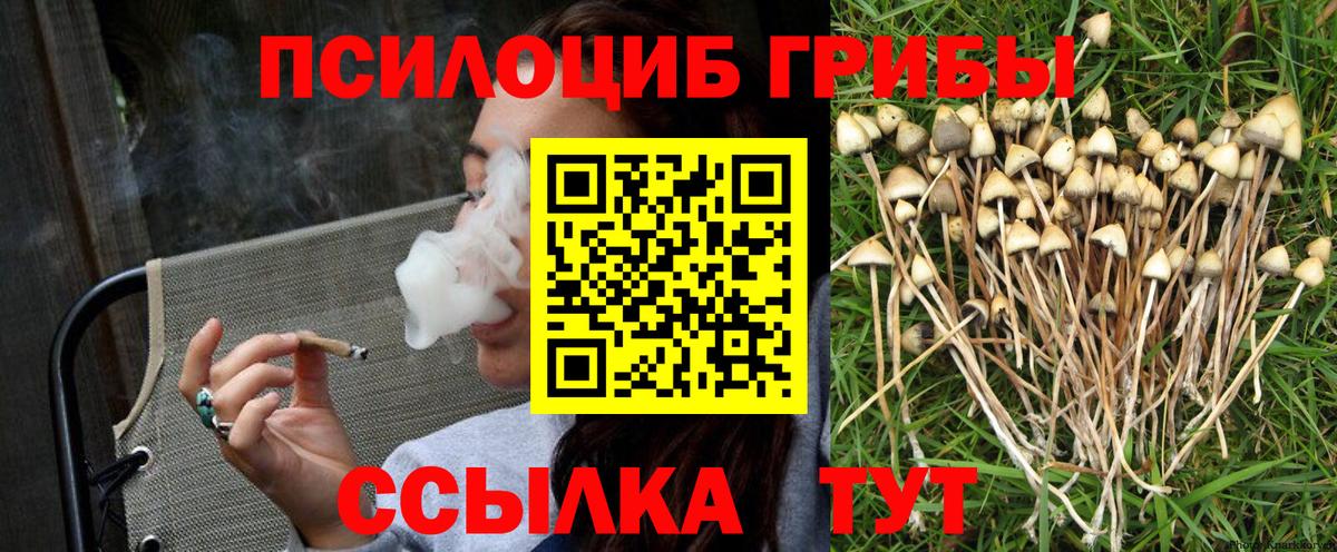 Псилоцибиновые грибы Psilocybine cubensis Черемхово
