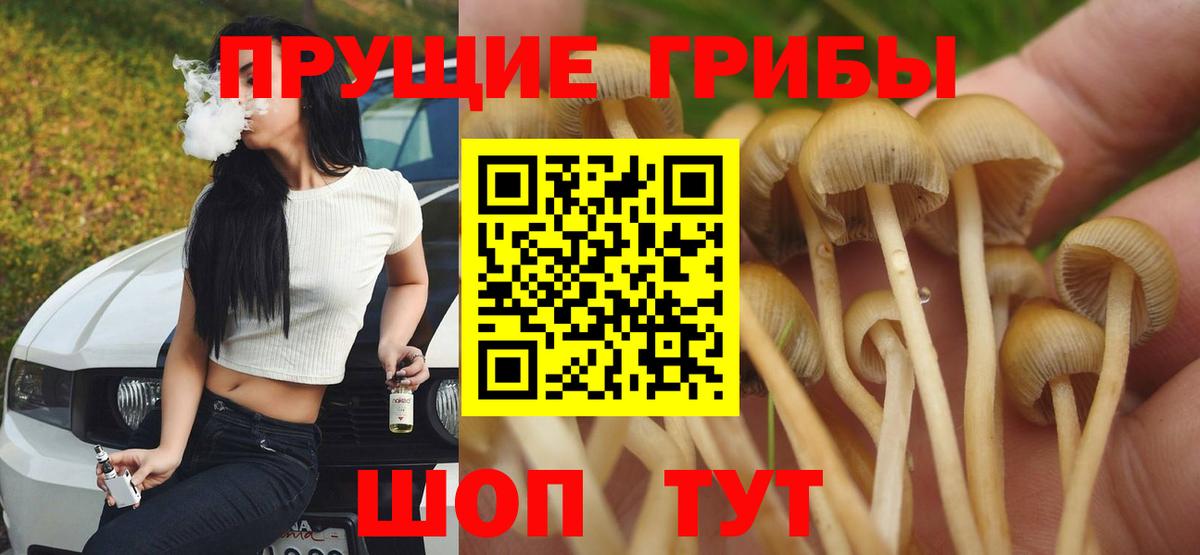 Черемхово  Галлюциногенные грибы MAGIC MUSHROOMS  Псилоцибиновые грибы мицелий  Вход с VPN 